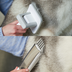 Charger l'image dans la galerie, Kit de toilettage pour animaux avec aspirateur | AIRROBO PG100